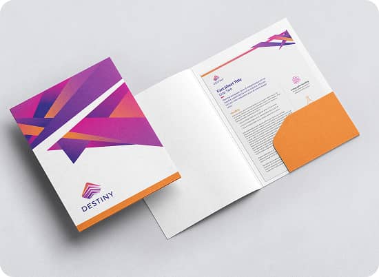 DESTINY infographic in a branded folder
